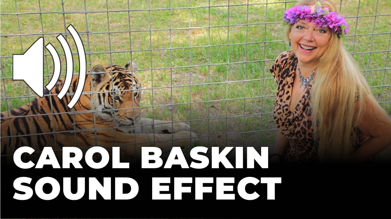 Carol Baskin Tik Tok Sound Effect download for free mp3