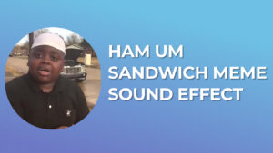 ham um sandwich meme Sound Effect