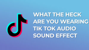 What the heck are you wearing - Tik Tok Audio Sound Effect
