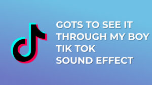 Gots to see it through my boy Tik Tok Sound Effect download for free mp3
