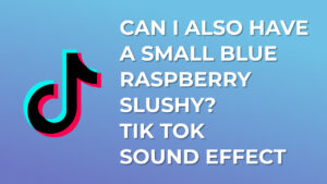 Can I also have a small blue raspberry slushy? A sausage McMuffin? tik tok sound effect download for free mp3
