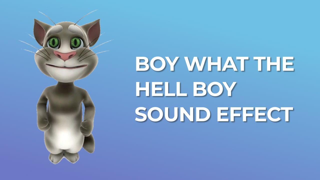 Boy what the hell boy Sound Effect tik tok trend download for free mp3