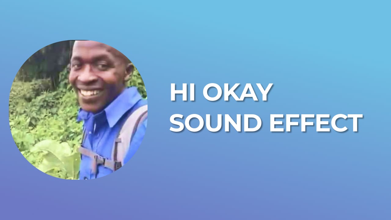 Hi Okay Sound Effect download for free mp3