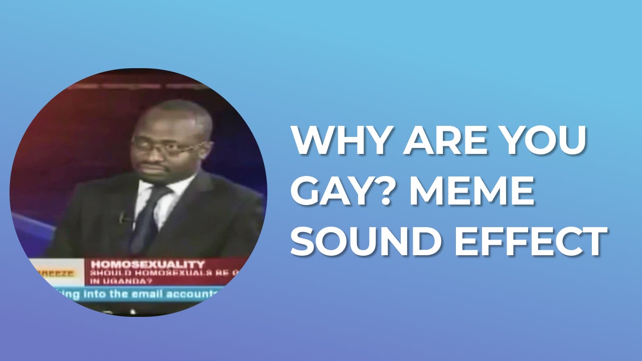 Why are you gay meme Sound Effect