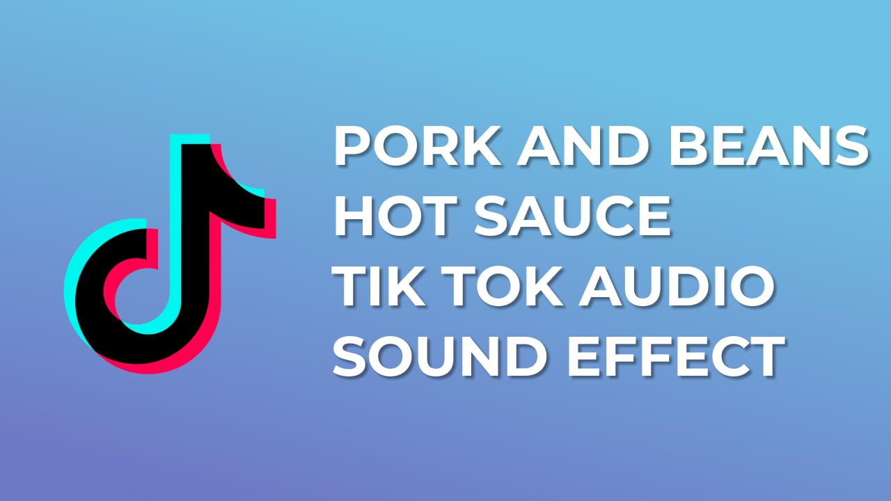 Pork and Beans Ham, You had me and you lost me Hot Sauce I'm back in Tik Tok sound effect download for free mp3 sound effect