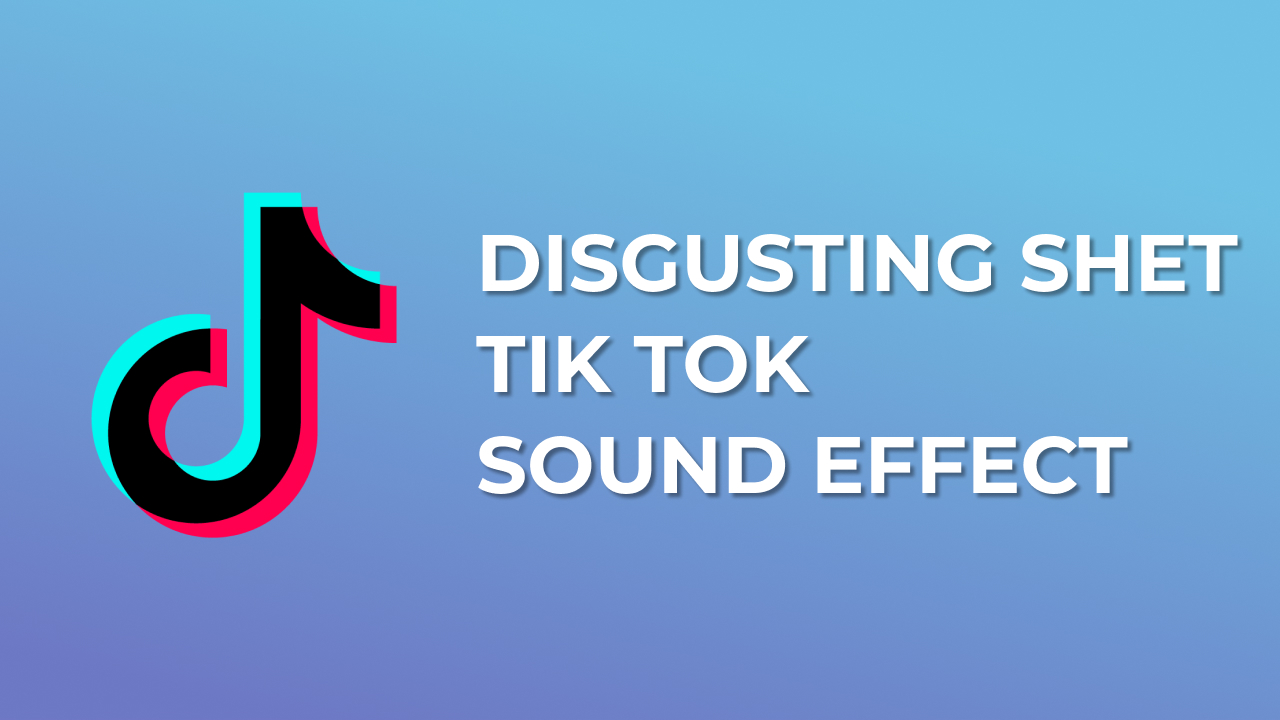 Disgusting Shet Tik Tok Sound Effect - MP3 Download