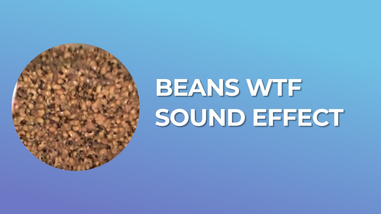 Beans Wtf Sound Effect tik tok sound effect download for free mp3