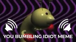 You Bumbling Idiot Sound Effect