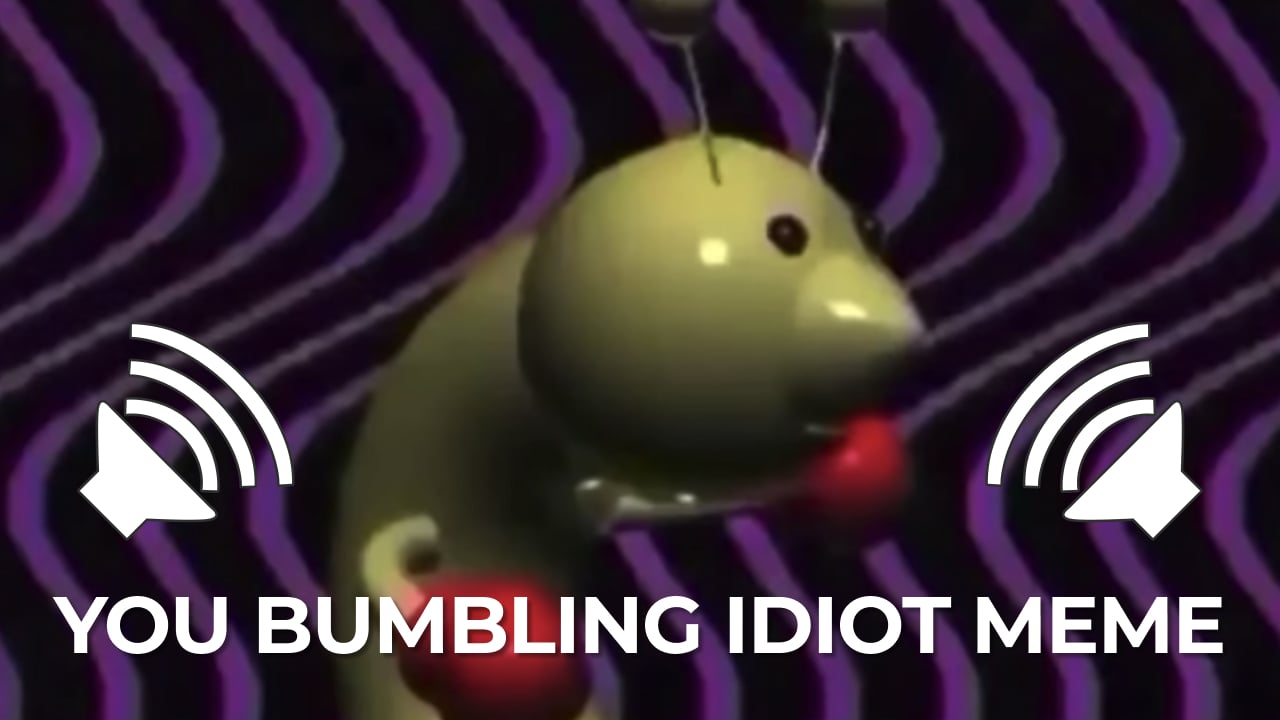 You Bumbling Idiot Sound Effect