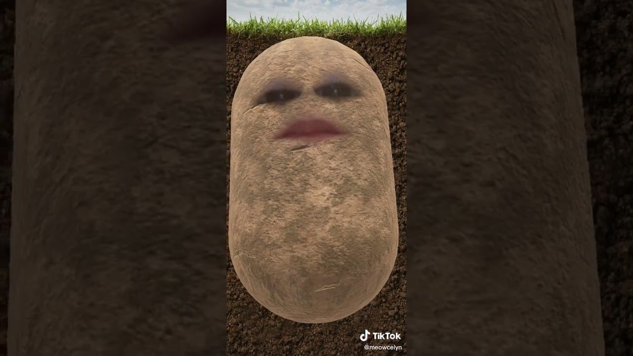 I am a Potato Tik Tok Sound Effect