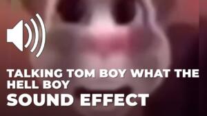 Talking Tom boy what the hell boy Sound Effect