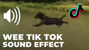 Wee Tik Tok Sound Effect original sound effect download for free mp3