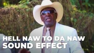 Hell Naw To Da Naw Meme Sound Effect download for free mp3