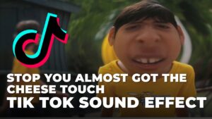 Stop You almost got the cheese touch Tik Tok Sound Effect download for free mp3