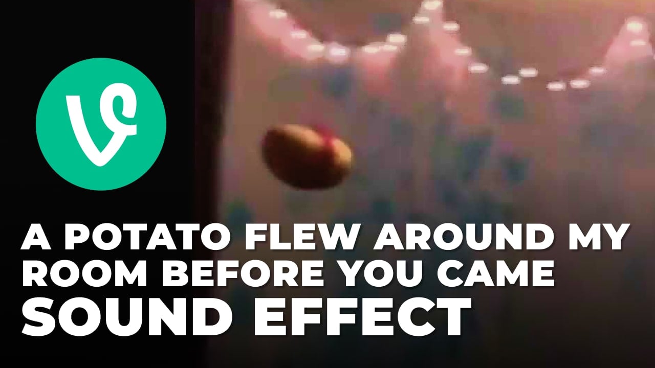 A potato flew around my room before you came download for free mp3