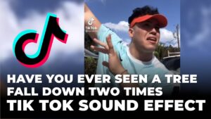 Have you ever seen a tree fall down two times tik tok sound effect download for free mp3