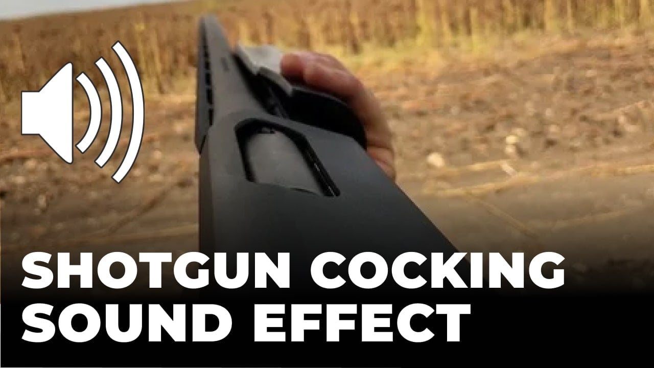 Shotgun cocking Sound Effect download for free mp3