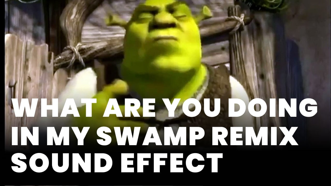 What Are You Doing In My Swamp Download