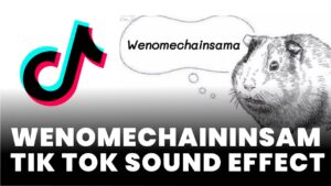 wenomechaininsama Tik Tok Sound Effect
