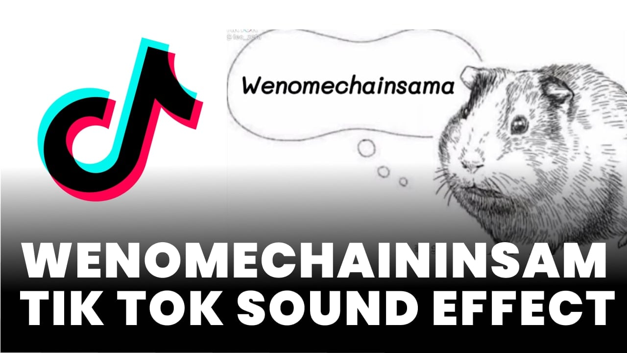 wenomechaininsama Tik Tok Sound Effect