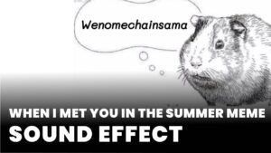 When I met you in the summer meme Sound Effect