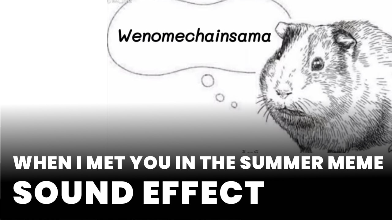 When I met you in the summer meme Sound Effect