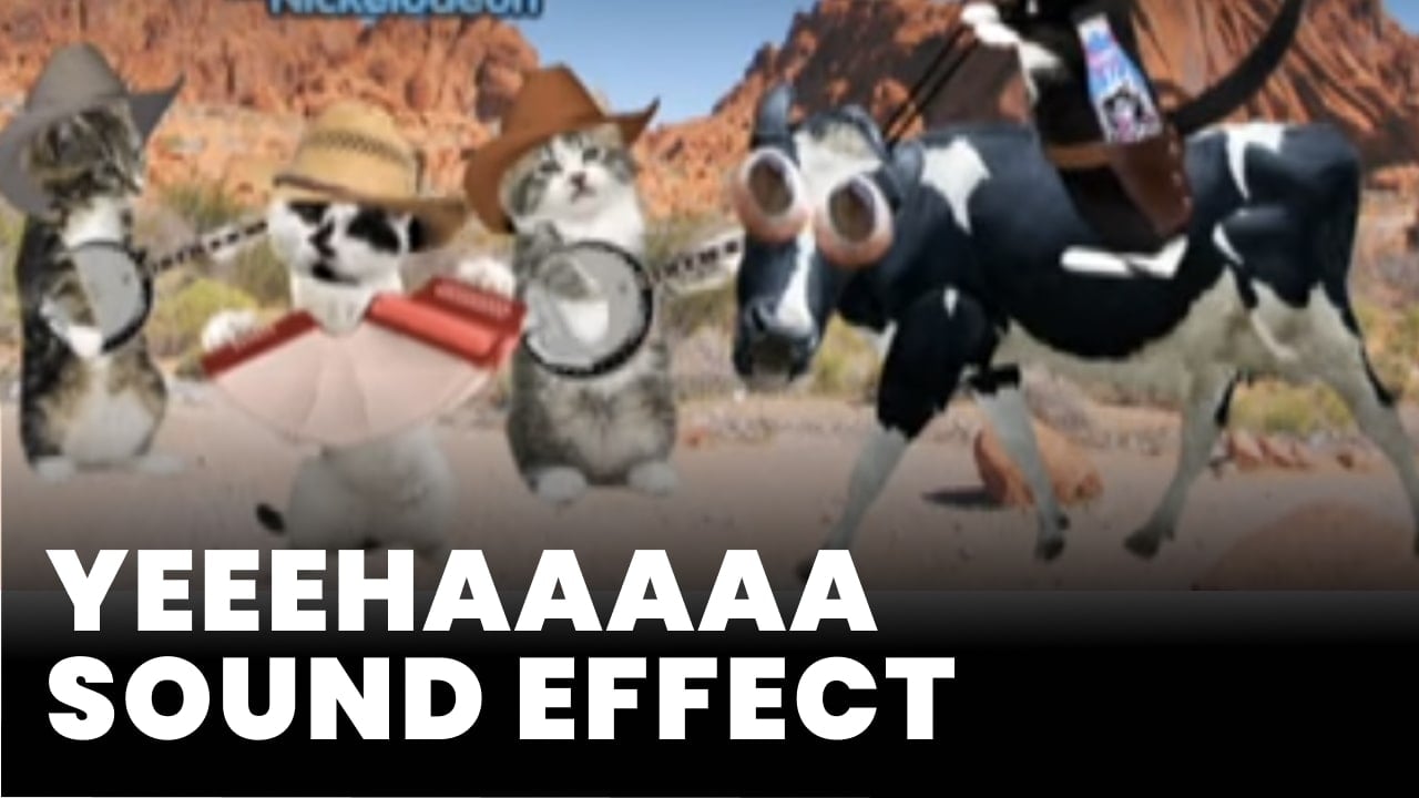 Yeeehaaaaa Sound Effect