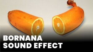 Bornana Sound Effect