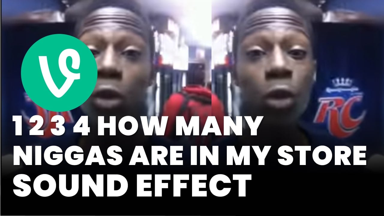 1 2 3 4 how many Niggas are in my store Vine Sound Effect