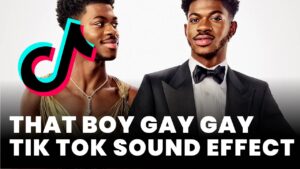 That boy gay gay gay Tik Tok Sound Effect