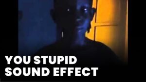 You Stupid Sound Effect