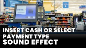 Insert cash or select payment type Sound Effect