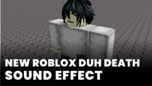 New Roblox Duh Death Sound Effect