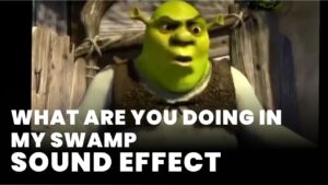 What are you doing in my swamp Sound Effect