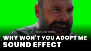 Why won't you adopt me meme Sound Effect