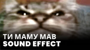 Ти маму мав Sound Effect