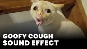 Goofy cough