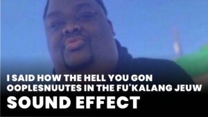 i said how the hell you gon ooplesnuutes