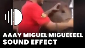 Aaay Miguel Migueeeel Sound Effect