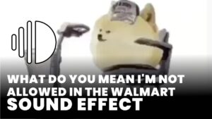What do you mean i'm not allowed in the walmart