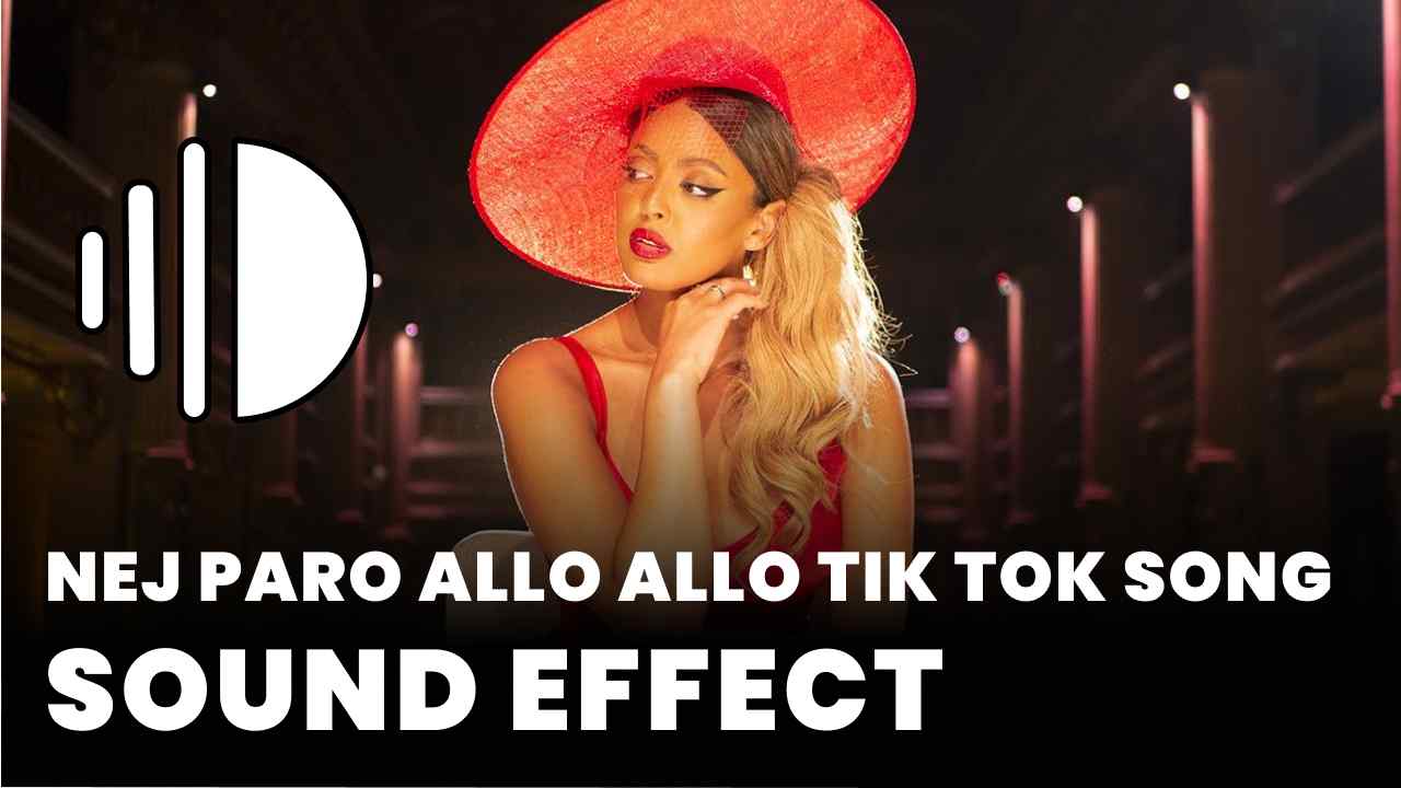 Nej Paro allo allo Tik Tok Song
