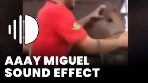 Aaay miguel Sound Effect