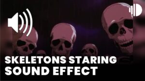 Skeletons Staring Sound Effect
