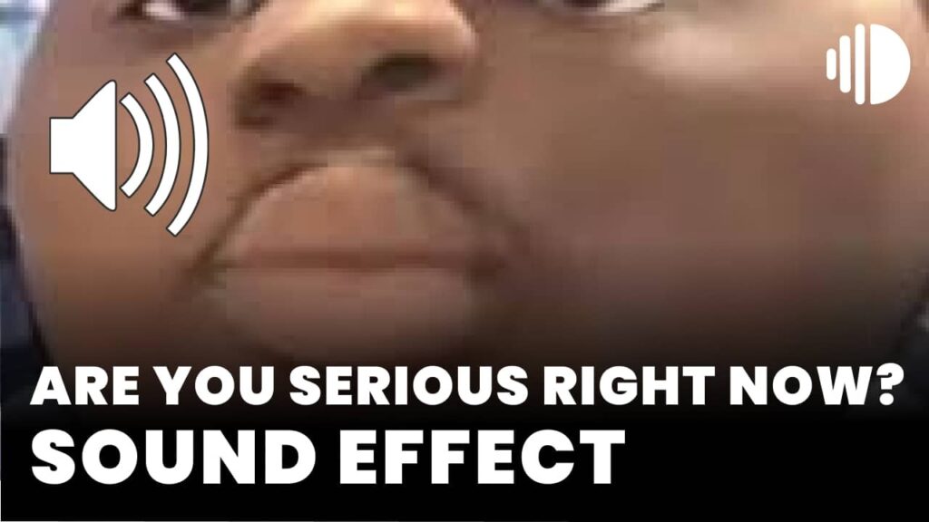 Are you serious right now? MP3 Download(02)