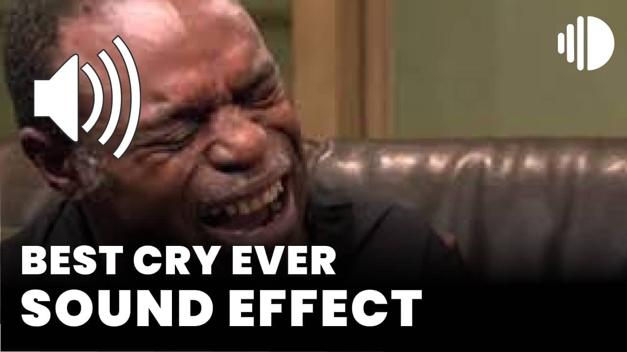Best Cry Ever Sound Effect download