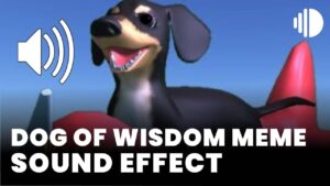 Dog of Wisdom Meme download