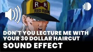 Dont you lecture me with your 30 dollar haircut download