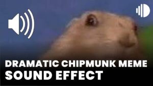 Dramatic Chipmunk Meme Sound Effect download