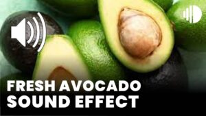 Fresh Avocado Sound effect download