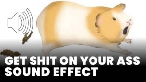 Get shit on your ass Sound Effect download